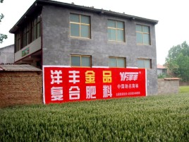 宁德如何让墙体广告展现最大化效果